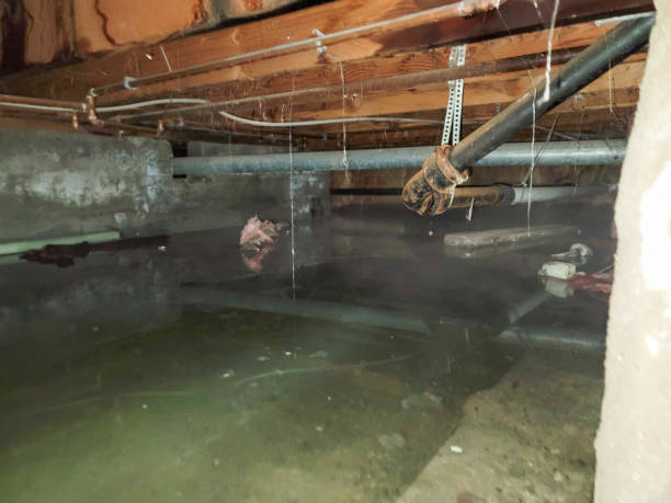 Best Residential water damage restoration  in Surfside, FL