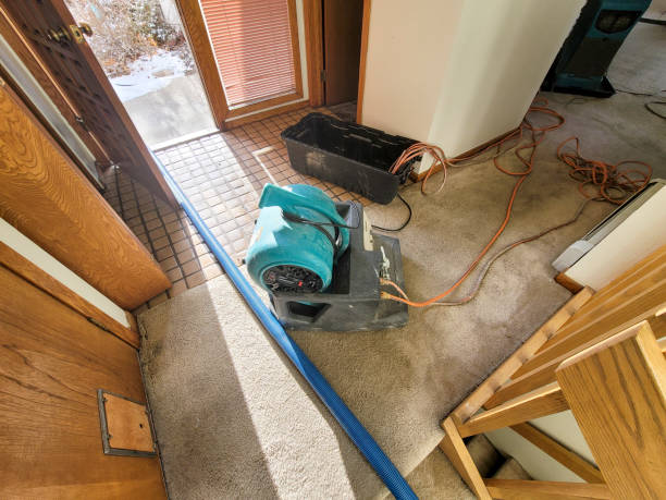 Reliable Surfside, FL Water damage restoration Solutions