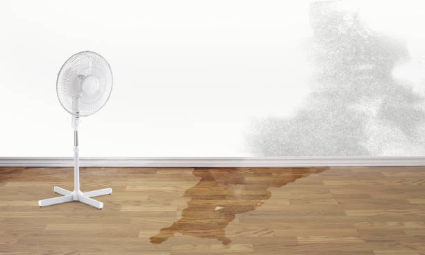 Best 24/7 water damage repair  in Surfside, FL